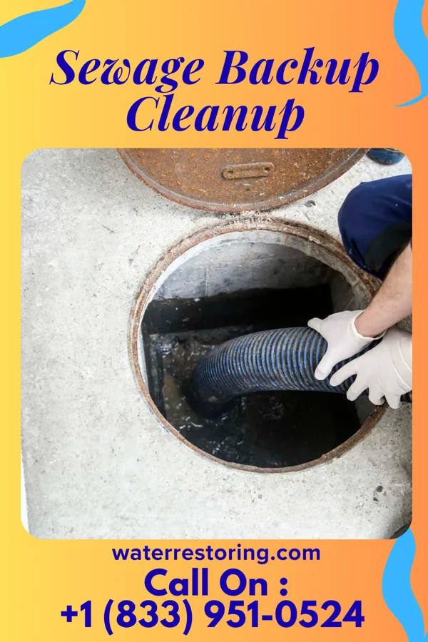Sewage Backup Cleanup in Fairview, OK